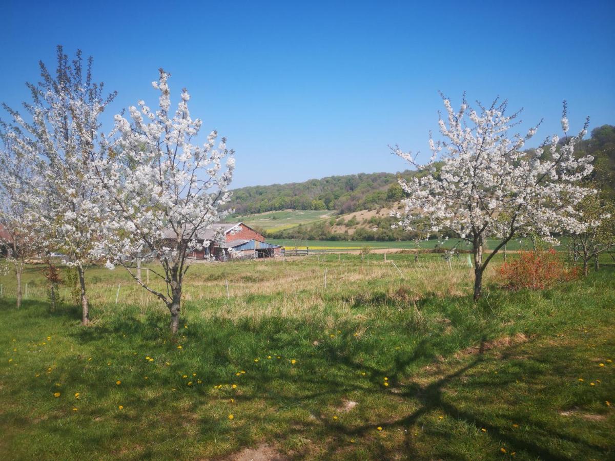 Nature Monchy Campneuseville Exterior foto